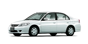 �z���_ �V�r�b�N �t�F���I ES1