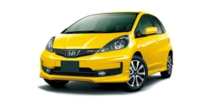 �z���_ �t�B�b�g GE8