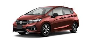 �z���_ �t�B�b�g �n�C�u���b�h GP6