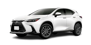 ���N�T�X NX AAZA25