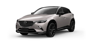 �}�c�_ CX-3 DK8FY