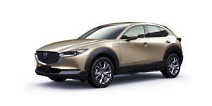 �}�c�_ CX-30 DMFP