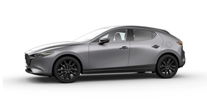 �}�c�_ �}�c�_ 3 �t�@�X�g�o�b�N BP5R