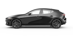 �}�c�_ �}�c�_ 3 �t�@�X�g�o�b�N BPFJ3P