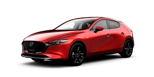 �}�c�_ �}�c�_ 3 �t�@�X�g�o�b�N BPFP