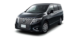 ���Y �G���O�����h TNE52