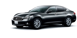 ���Y �t�[�K �n�C�u���b�g HY51