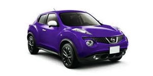 ���Y �W���[�N F15