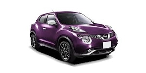 ���Y �W���[�N NF15