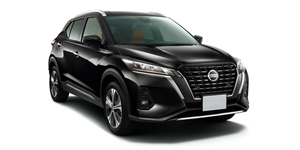 ���Y �L�b�N�X RP15