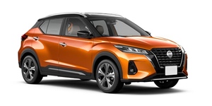 ���Y �L�b�N�X SNP15