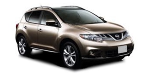 ���Y �����[�m TZ51