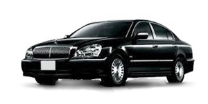 ���Y �v���W�f���g PGF50