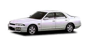 ���Y �X�J�C���C�� ECR33