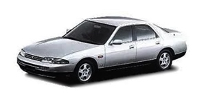 ���Y �X�J�C���C�� ER33