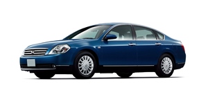 ���Y �e�B�A�i J31