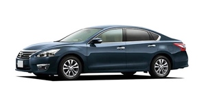 ���Y �e�B�A�i L33