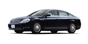 ���Y �e�B�A�i PJ31