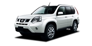 ���Y �G�N�X�g���C�� DNT31