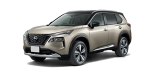 ���Y �G�N�X�g���C�� SNT33