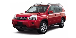 ���Y �G�N�X�g���C�� T31