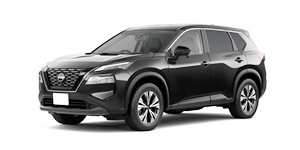 ���Y �G�N�X�g���C�� T33