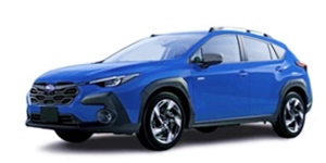 �X�o�� �N���X�g���b�N GUD