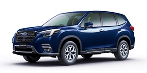 �X�o�� �t�H���X�^�[ SK5