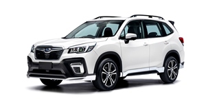 �X�o�� �t�H���X�^�[ SK9