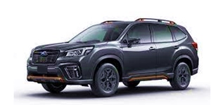 �X�o�� �t�H���X�^�[ SKE