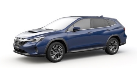 �X�o�� �����H�[�O ���C�o�b�N VN5