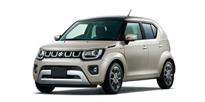 �X�Y�L �C�O�j�X FF21S