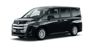 �X�Y�L �����f�B MZRA95C