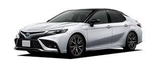 �g���^ �J���� AXVH70