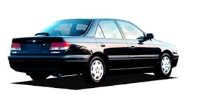 �g���^ �J���[�i CT211