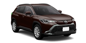 �g���^ �J���[�� �N���X ZVG15