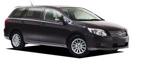 �g���^ �J���[�� �t�B�[���_�[ NZE141G