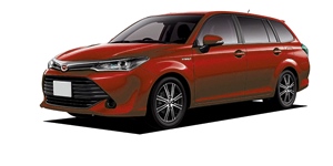 �g���^ �J���[�� �t�B�[���_�[ NZE164G