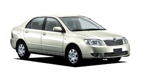 �g���^ �J���[�� NZE121