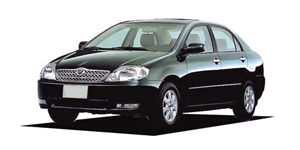 �g���^ �J���[�� NZE124