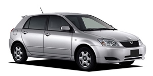 �g���^ �J���[�� �����N�X NZE124