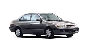 �g���^ �R���i �v���~�I CT215