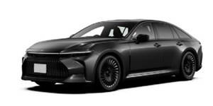 �g���^ �N���E�� KZSM30