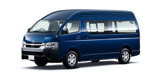 �g���^ ���W�A�X�G�[�X GDH226K