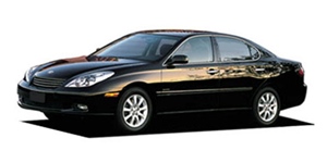 �g���^ �E�B���_�� MCV30