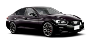 �X�J�C���C��