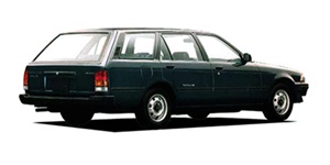 �J���[�i �T�[�t