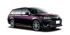 �J���[�� �t�B�[���_�[