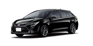 �J���[�� �c�[�����O