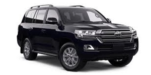 �����h�N���[�U�[200